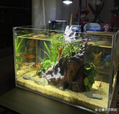 渤海海域发生4.4级地震 轻微震感引发讨论