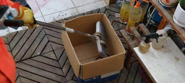 贪吃蛇溜进居民家大吃特吃 鸟笼惊魂记