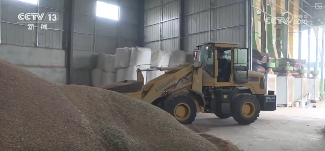 烘干点开足马力 助力河南抢烘粮食 全力推进秋粮抢收