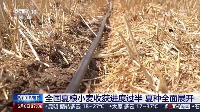 各地推出暖心举措服务夏收 助力夏粮丰收归仓