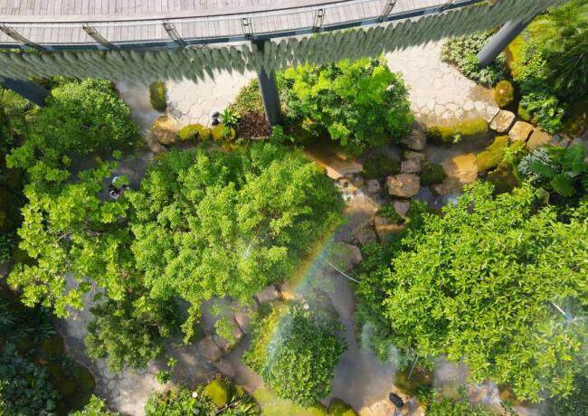 云台花园云萝植物园一票通玩 双园联票惠民畅游