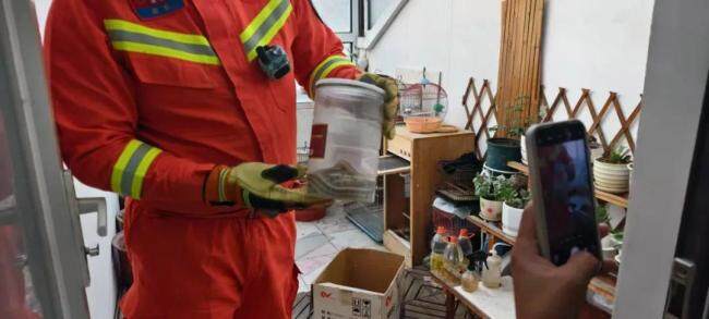 贪吃蛇溜进居民家大吃特吃 鸟笼惊魂记