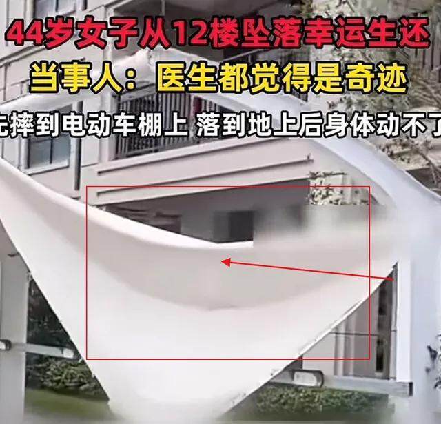 从12楼坠落女子已出院 网络暴力与现实压力交织