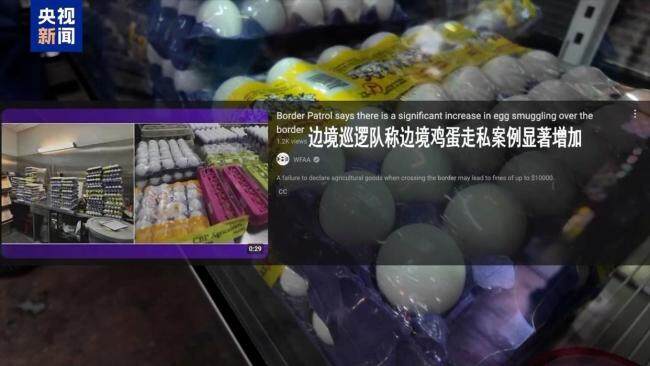 美墨边境鸡蛋走私案显著增加